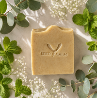 Eucalyptus & Munt