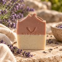 Lavendel